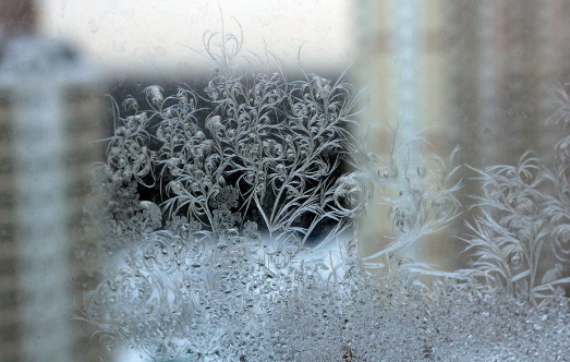 Мороз до -35 градусов придет в Новосибирскую область в середине недели