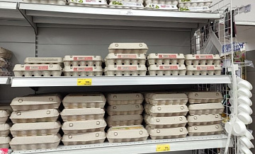 В Новосибирской области снизились цены на яйца и курицу