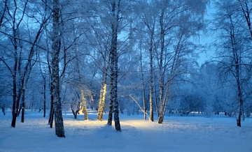 В Новосибирской области похолодало до -39,4 градусов