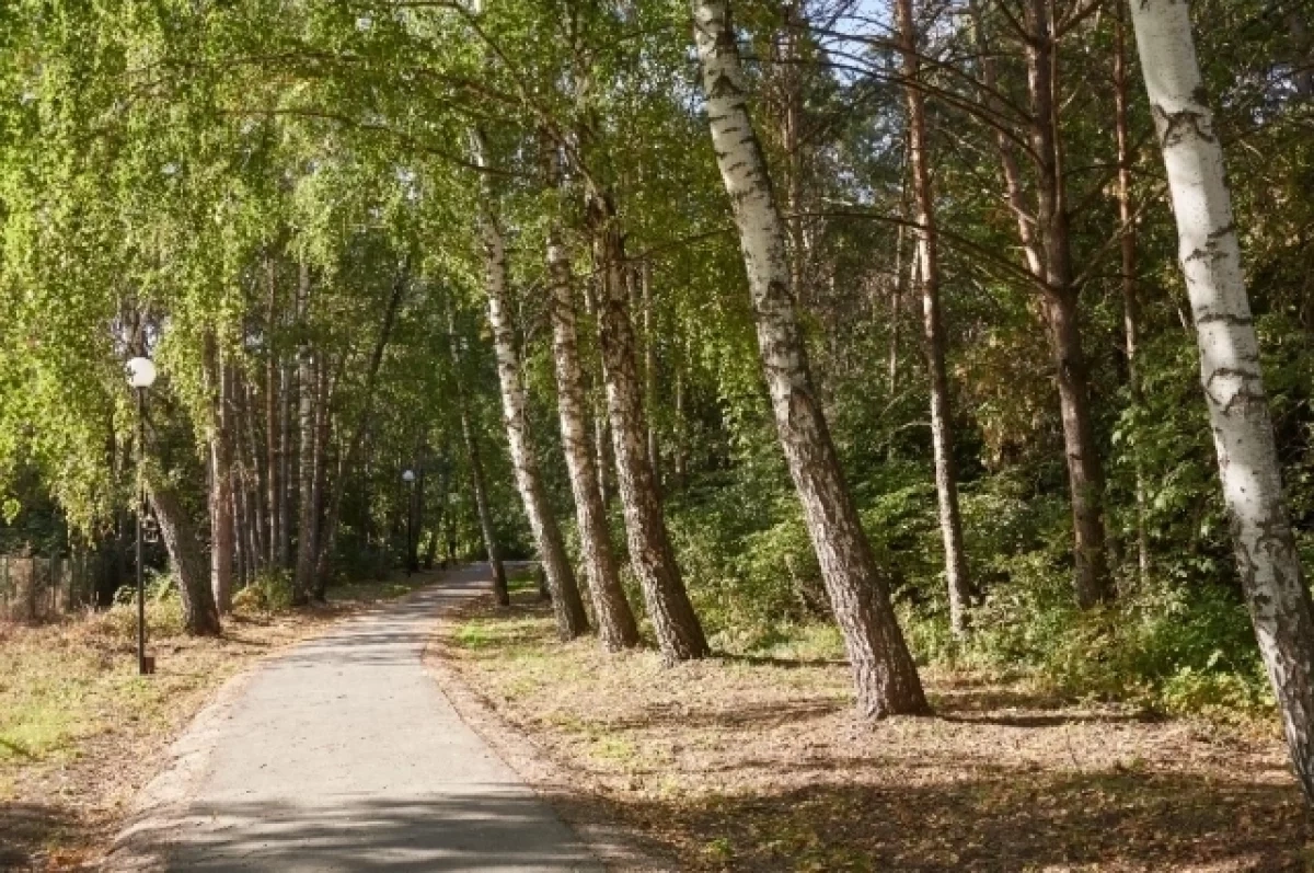 Исторический парк с крепостью и острогом появится в Новосибирске