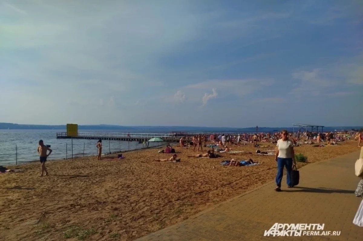 Новосибирцев предупредили о штрафах, которые можно получить на пляже