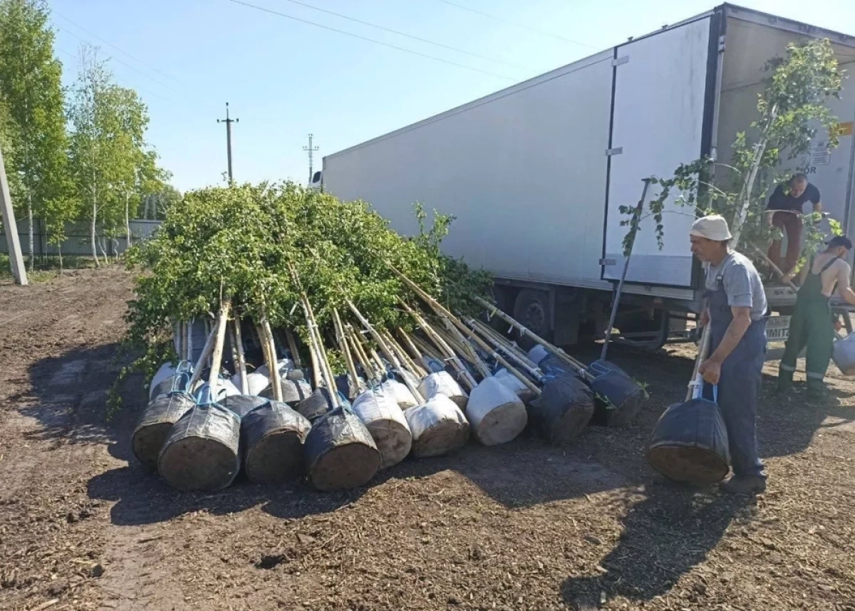 � ������������ � 2026 ���� ��������� ���������� ������� � ������� ��������