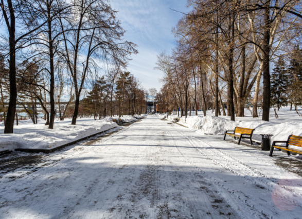 ����� ����� ������? ����������� ������� ������ � ������������ �� ����