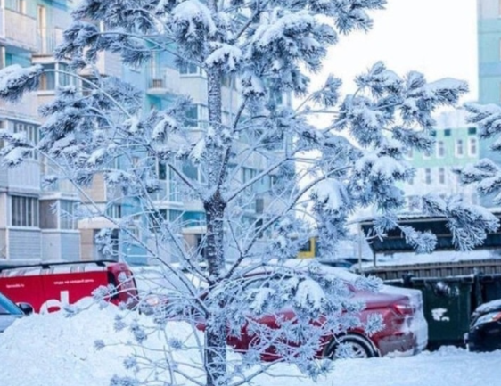 ��� ������������� 21 ������ ����� ���������� ����� �������� ������