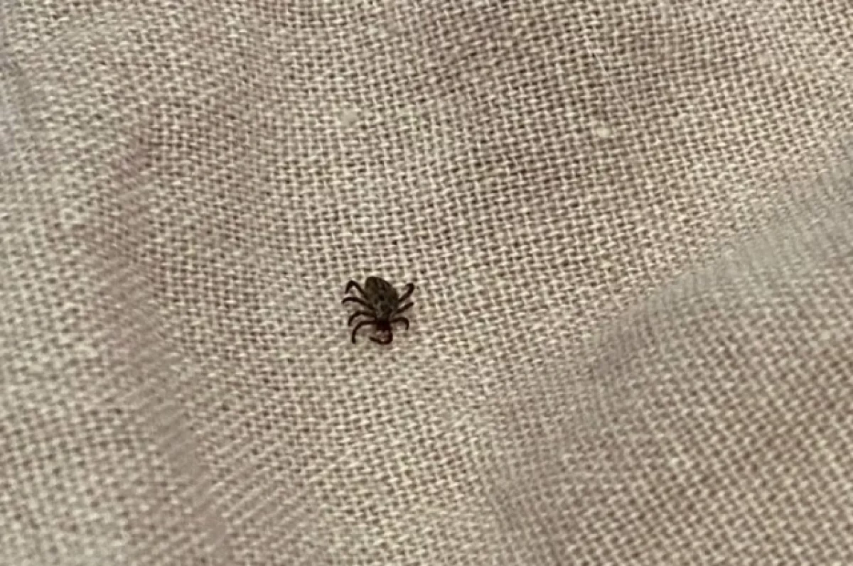 ������������ ������������� � ��������� ������ � ������� �����