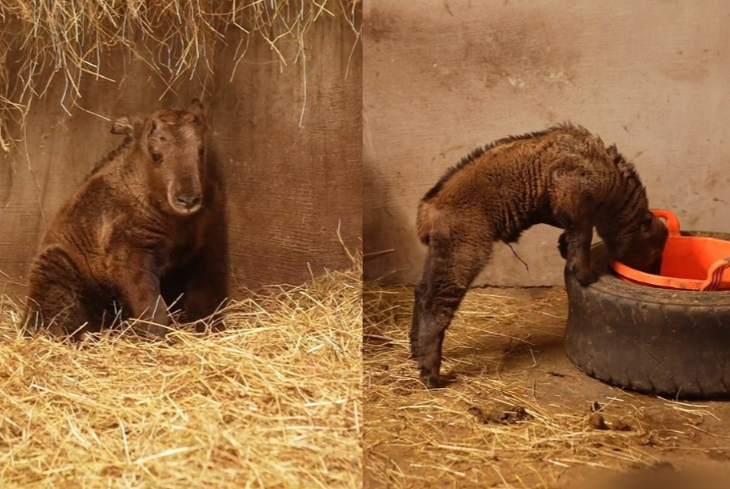 ������ ��������� ���: � ������������ � ������ ���� ���������� ������� ������� �������