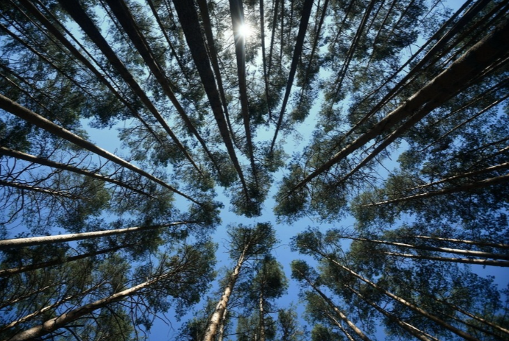 ����� ��������� ������� � ������������ ����������� ������������� �������