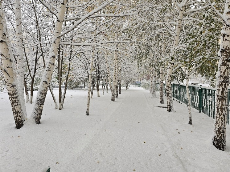 6 ������� � ������������ ��������� �� +1�C