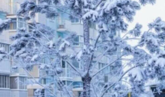 ������ ������������ ������������ � ��������� ����� ���������� ������