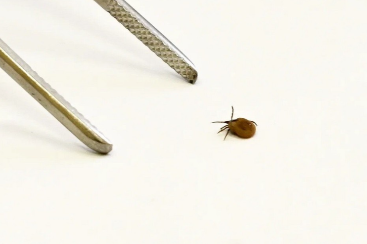 � ������������� ������� � ������ ������ 27 ������� ���������� �� ������ ������