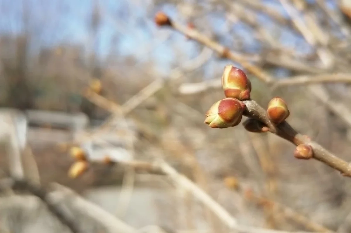 � ������������� ������� ��������� � �������� �������� ����� �����