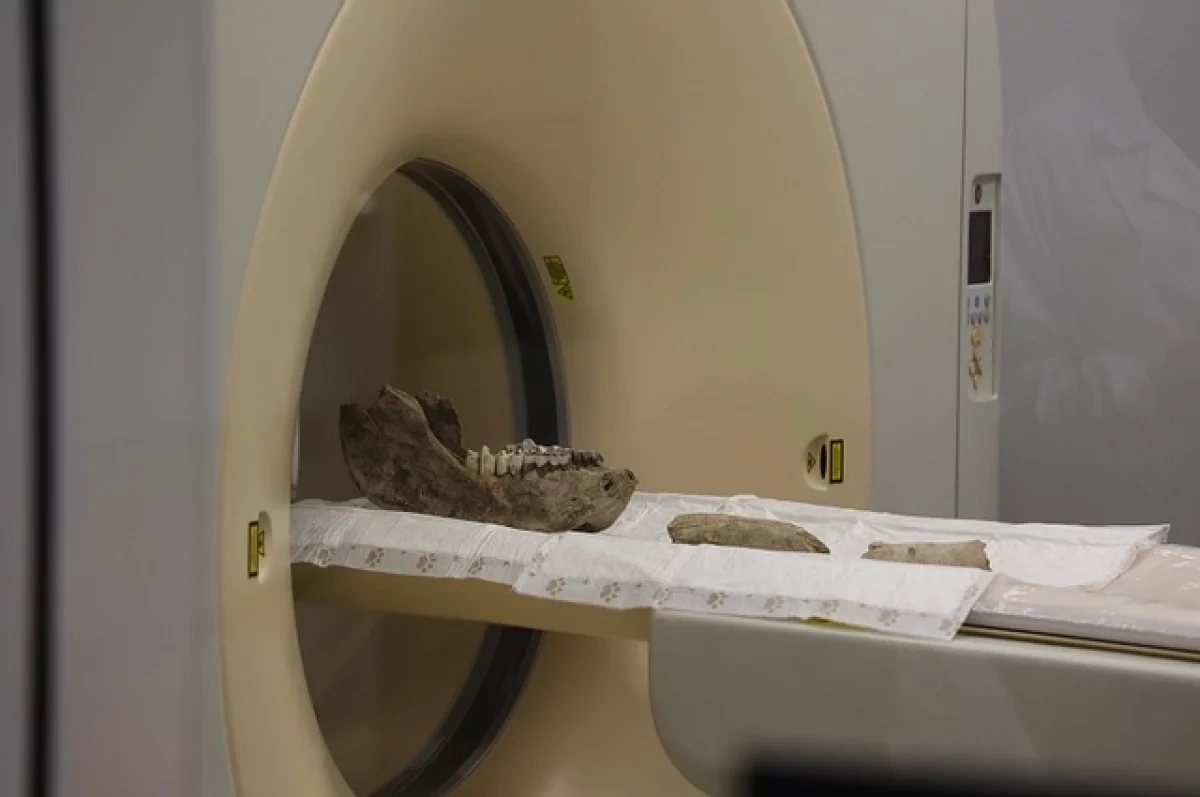 ������������� ������ ������� ������� ������� ����������� �������� �� ��