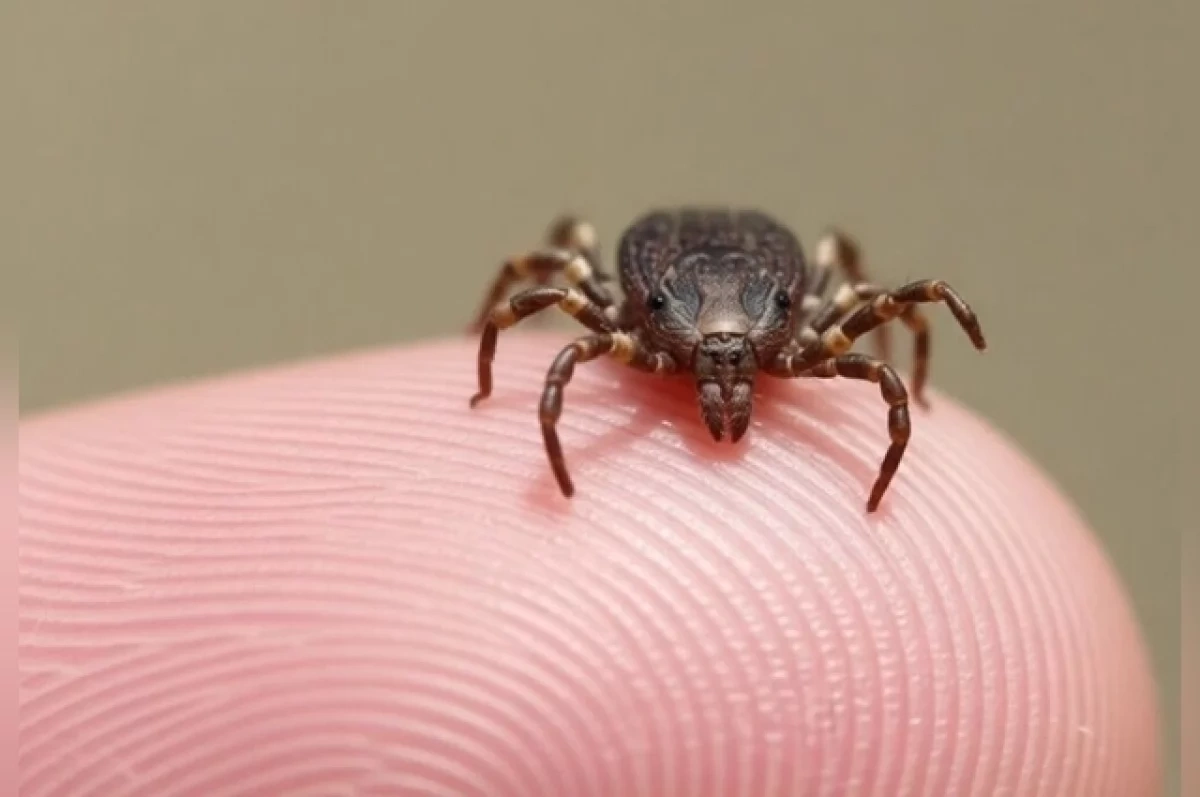 ����� �������� ����� ������������ � ������ ������