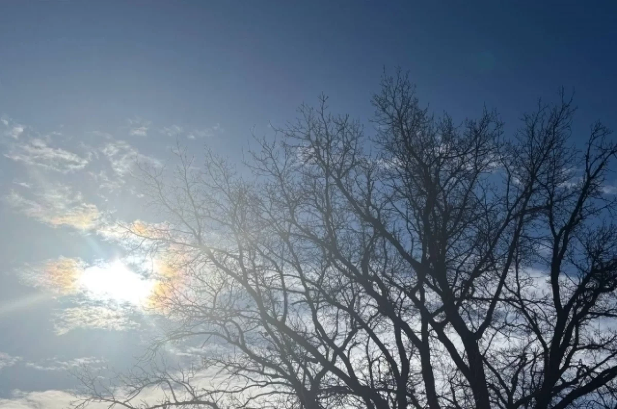 � ������������� ������� ������ ����� ������ �����