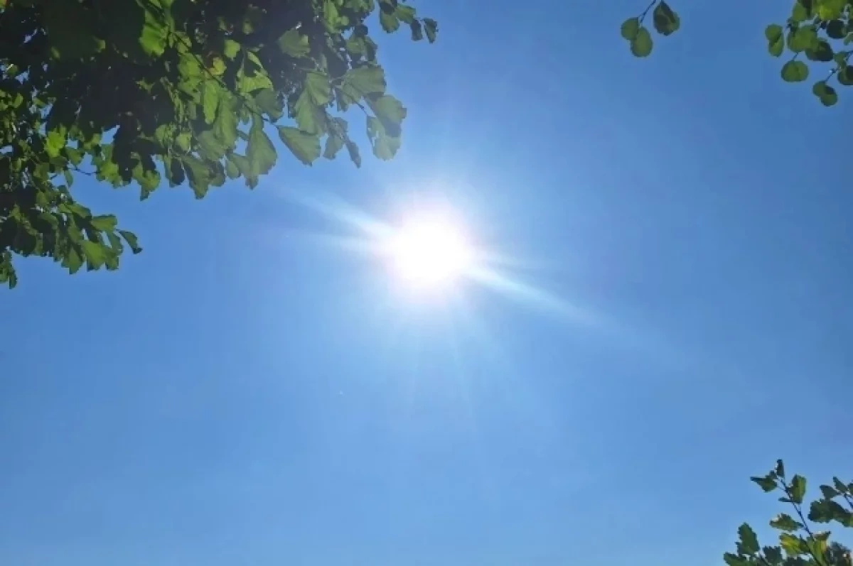 ������������ �������� ������� ��������� ���� �� ����