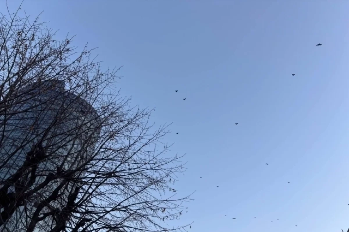 ���������� ����������, ����� ������ ����� ��������� �� ������� ������������